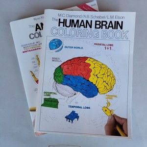 Lot Of 2 Lightly Used Adult Coloring Books (Human Brain /Anatomy)